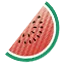 Bullet Watermelon